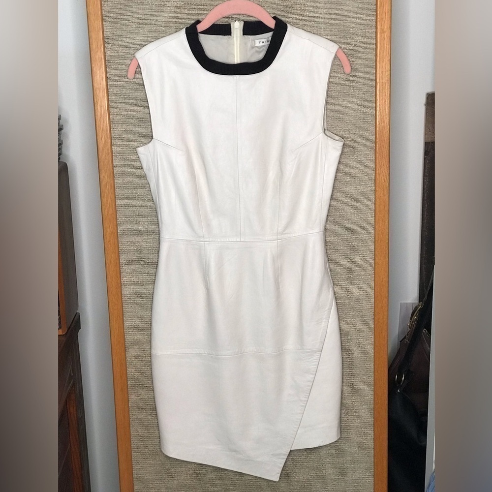 TRINA TURK Dalia Ivory Cream Lamb Leather Asymmetrical hem Dress Size 2 - Picture 8 of 16